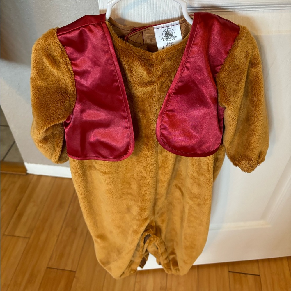 Abu Disney Costume